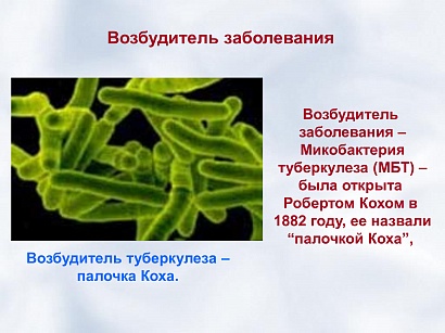 Туберкулёз - фото 4